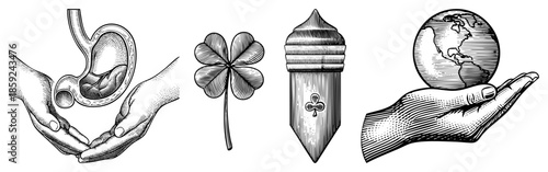 Hands holding stomach anatomy four leaf clover acorn globe