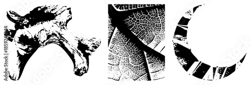 abstract black and white vector illustrations