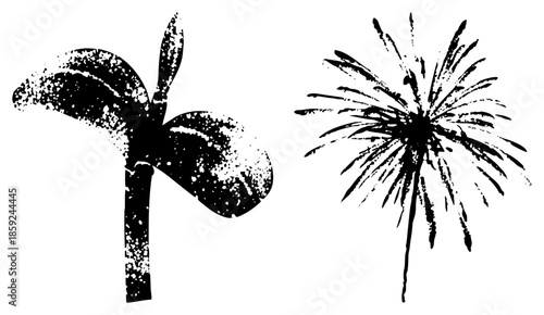 dandelion seed head and sprout vector illustration