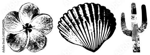 flower cactus black and white vector illustration