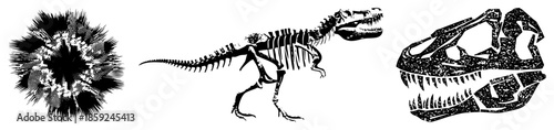 dinosaur skeleton and vector