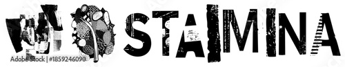 stamina logo typography graphic design