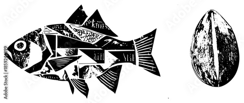 fish and nut vector illustration