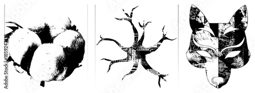 Cotton boll tree fox head black and white vector