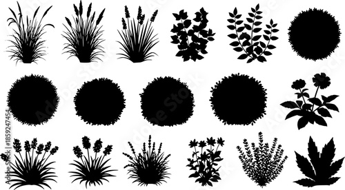 set of bush grass shrub herb silhouette vector transparent background
