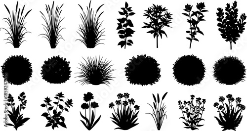 set of bush grass shrub herb silhouette vector transparent background
