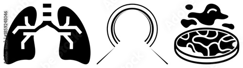 lungs bronchial tree anatomy respiratory system medical set