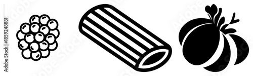 blackberry pasta onion vector