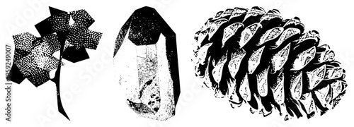 pinecone crystal leaf vector