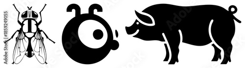 fly eyeball pig vector