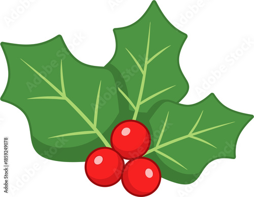 Christmas Holly Leaves with Berries Illustration, Festive Holiday Decoration Element