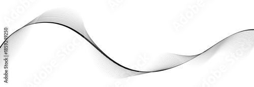 Abstract grey wave lines on transparent Curve wave seamless pattern. Line art striped graphic template. Vector illustration.