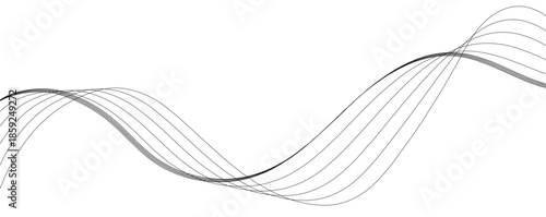 Abstract gray wave dynamic curve lines on transparent background with flowing particles.  Technology, data science, geometric border pattern. Isolated on white background. Vector illustration.