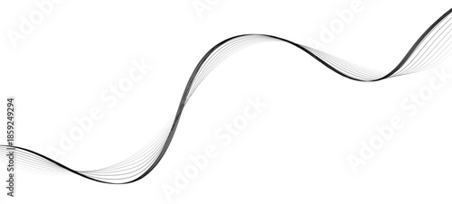 Abstract gray wave dynamic curve lines on transparent background with flowing particles.  Technology, data science, geometric border pattern. Isolated on white background. Vector illustration.