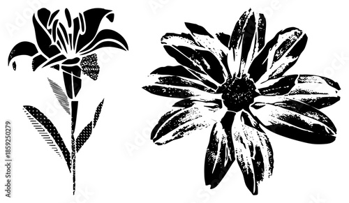 two stylized flowers black and white vector
