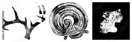 antlers spiral abstract shapes black and white vector