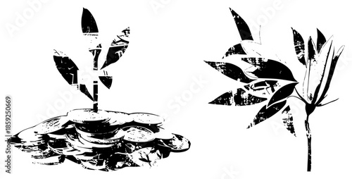 money plant growth financial growth concept