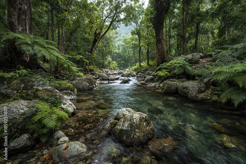 Jungle stream surrounded by ferns and rocks with soft flowing water in lush green forest creating peaceful and refreshing natural scene