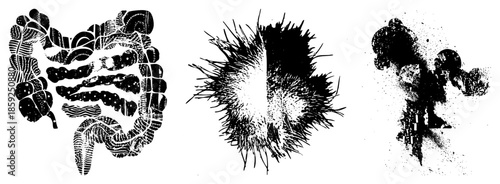 intestinal tract abstract with spiky and splattered textures