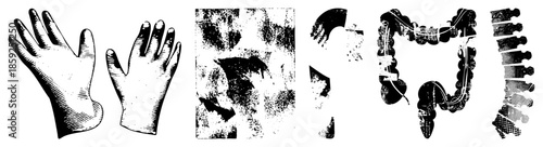 hands anatomy digestive system skeletal structure vector illustrations