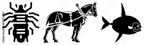 insect horse fish black silhouette