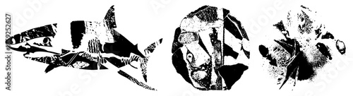 shark fish head abstract black white vector