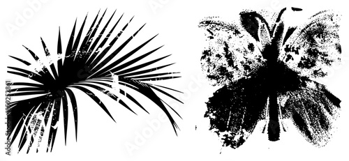 palm leaf and butterfly vector