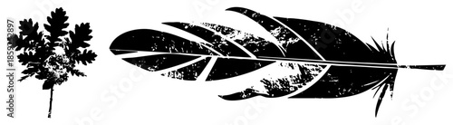 feather and oak leaf silhouette vector