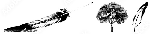 feathers and tree abstract black and white vector