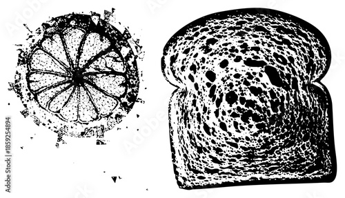 sliced citrus fruit and bread slice black and white vector
