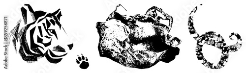 tiger head paw print elephant skull snake