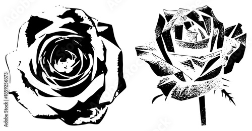two roses stylized black and white vector