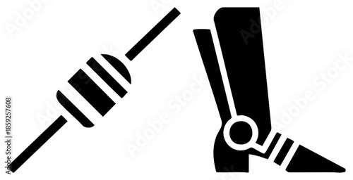 prosthetic leg and cane