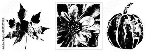 Autumn leaf flower pumpkin halftone vector set