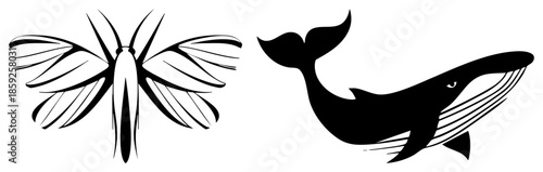 dragonfly and whale vector