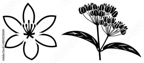 two stylized flowers black isolated