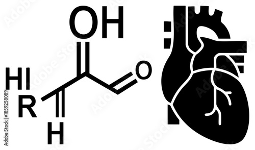 Heart anatomy and aldehyde chemical structure