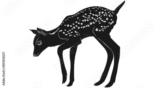 Baby Deer Fawn Silhouette Isolated on White Background