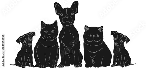Group of Cats and Dogs Silhouettes Isolated on White Background