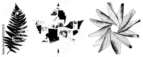 fern maple leaf abstract radial