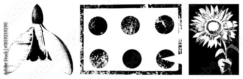 launch pad sunflower graphic set