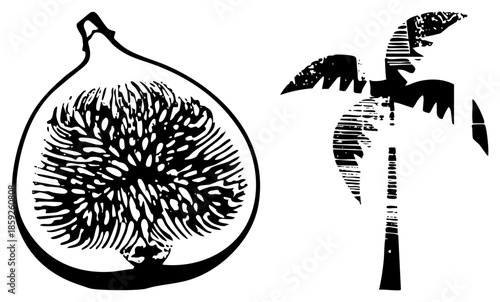fig fruit and palm tree vector illustration