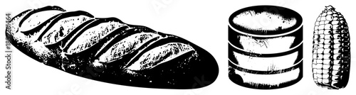bread corn database vector illustration