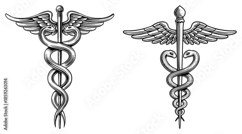 caduceus medical symbol dual vector illustration