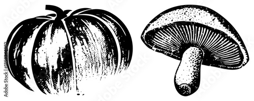 pumpkin and mushroom vintage illustration