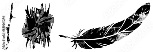 feather rose vector set