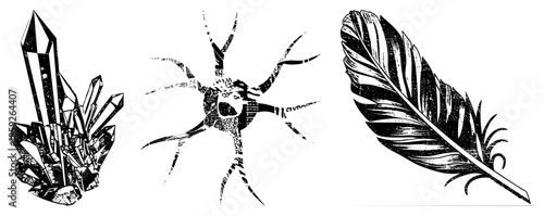crystals neuron feather black and white vector set