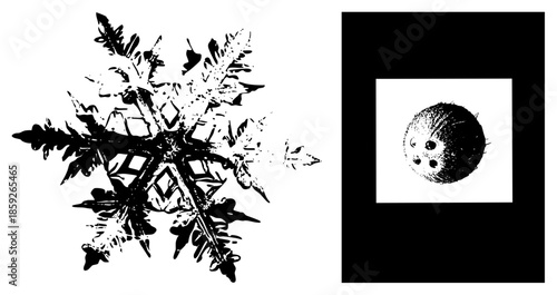 snowflake and bowling ball vector illustration