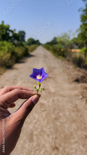 Flower in hand 
