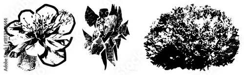 Three vector illustrations in black and white